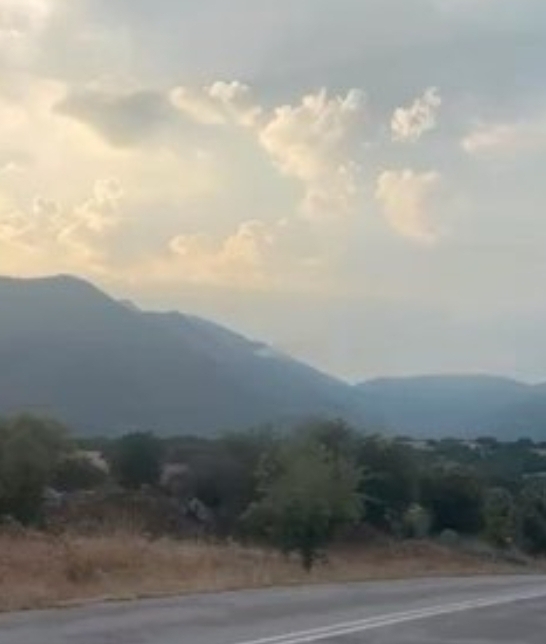 Πυρκαγιά σε δασική έκταση στη Αιανής Κοζάνης – Επιχειρούν 15 πυροσβέστες και 1 ελικόπτερο