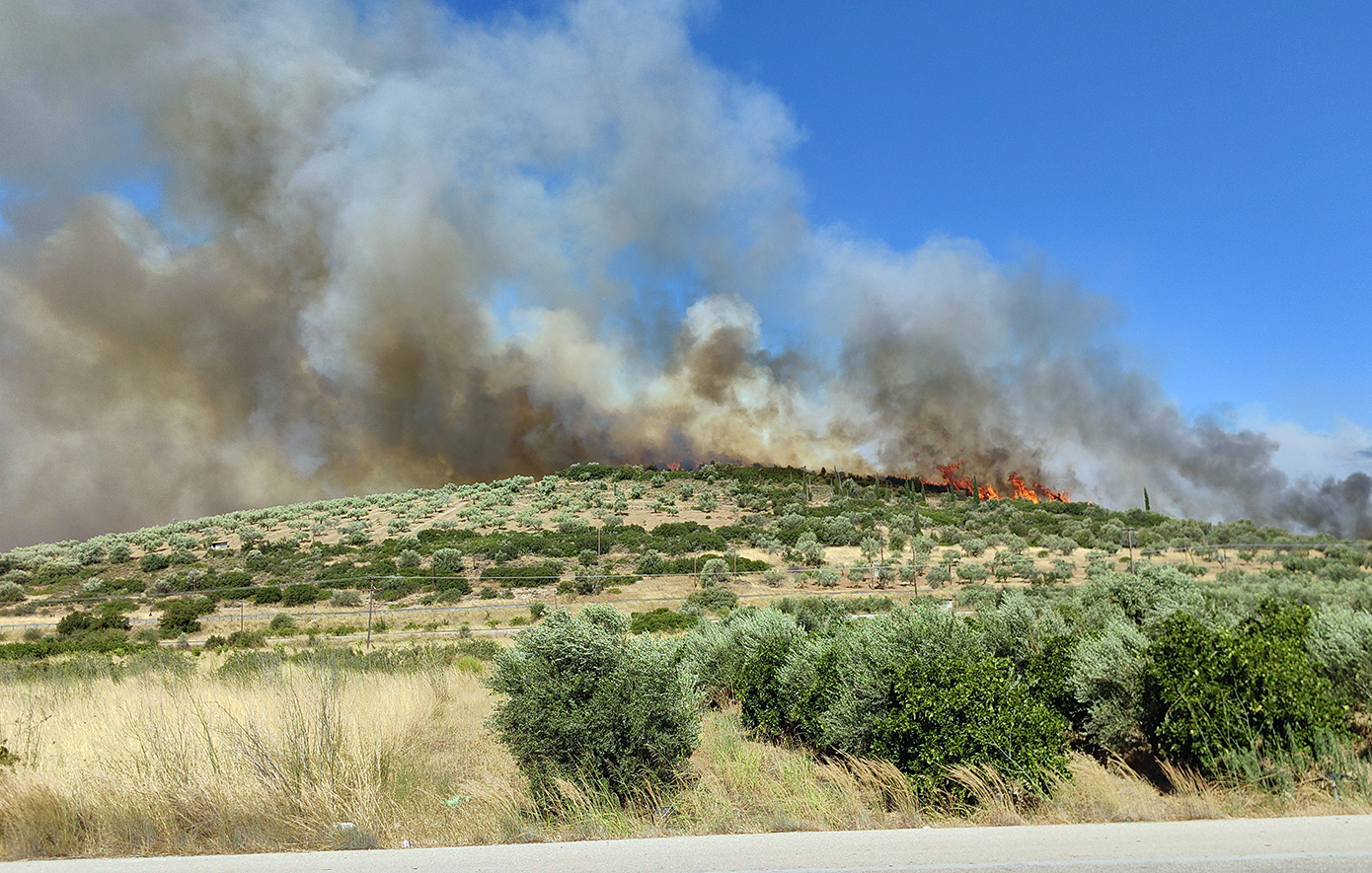 Πυρκαγιά σε αγροτοδασική έκταση στο Λιβάδι Ελασσόνας – Επιχειρούν 25 πυροσβέστες και 1 ελικόπτερο