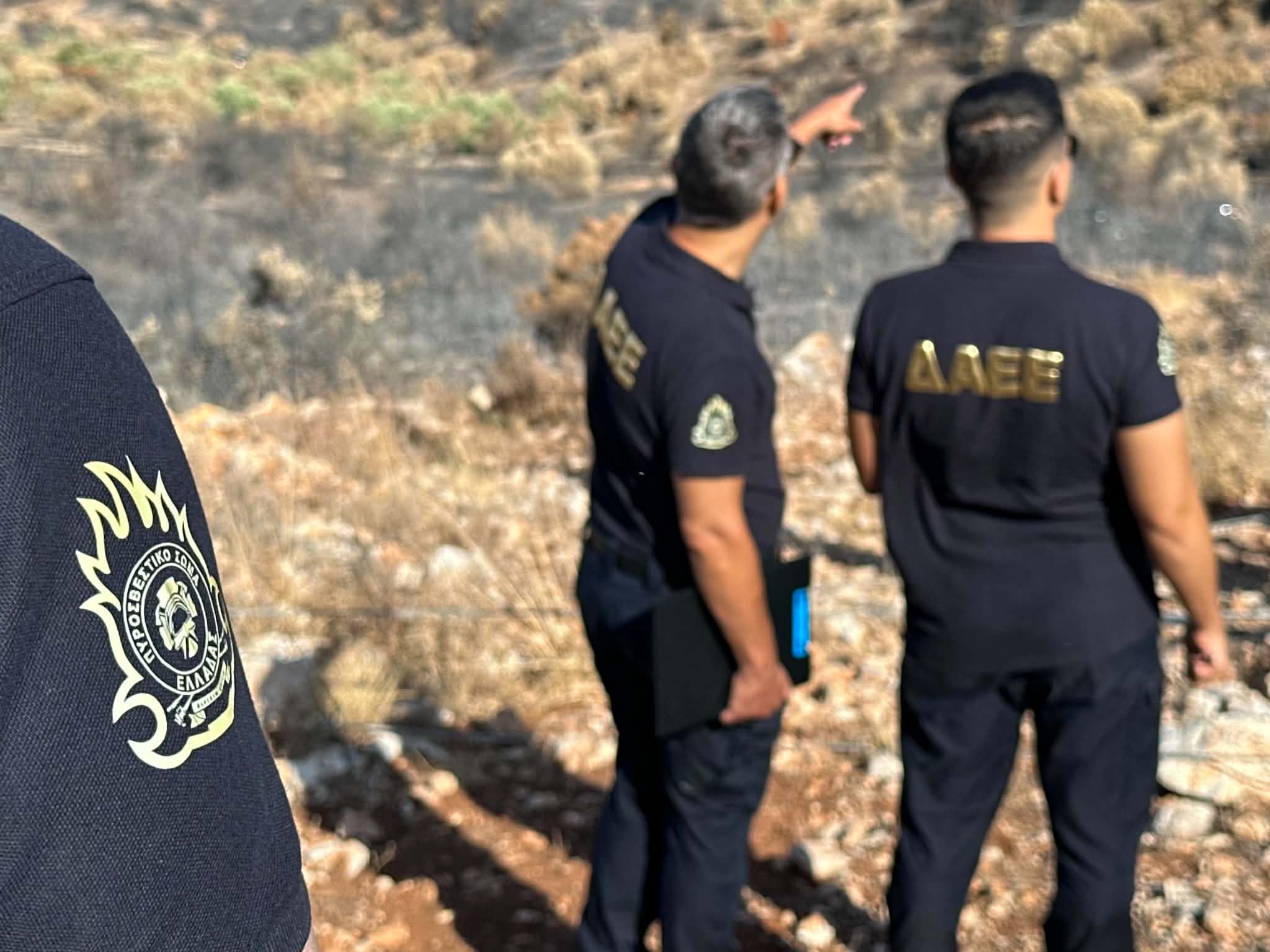 Τροιζήνα: 40χρονος συνελήφθη για εμπρησμό – Στο μικροσκόπιο ακόμη 9 πυρκαγιές