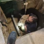 Θεσσαλονίκη: Πυροσβέστης έσωσε σκύλο που έπεσε σε φρεάτιο 3 μέτρων
