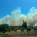 Πυρκαγιά σε χαμηλή βλάστηση στην Σίβηρη Χαλκιδικής