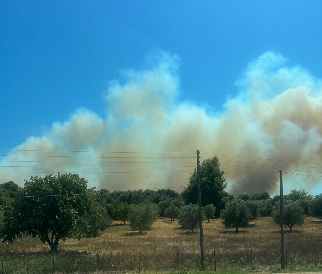 Πυρκαγιά σε χαμηλή βλάστηση στην Σίβηρη Χαλκιδικής