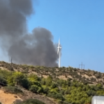Πυρκαγιά σε δασική έκταση στη Στεφάνη Βοιωτίας – Επιχειρούν 62 πυροσβέστες και 4 εναέρια μέσα