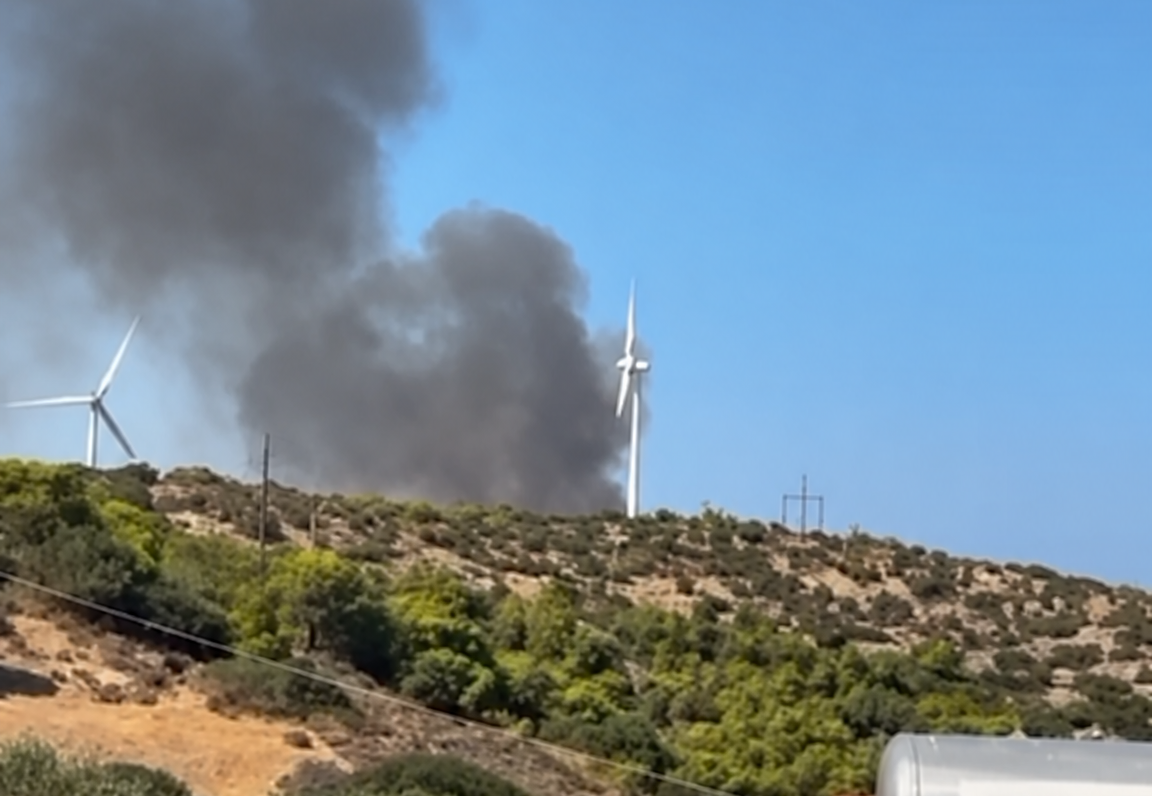 Πυρκαγιά σε δασική έκταση στη Στεφάνη Βοιωτίας – Επιχειρούν 62 πυροσβέστες και 4 εναέρια μέσα Πυρκαγιά σε δασική έκταση στη Στεφάνη Βοιωτίας – Επιχειρούν 62 πυροσβέστες και 4 εναέρια μέσα