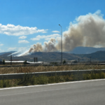 Πυρκαγιά σε αγροτοδασική έκταση στα Φάρσαλα