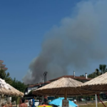 Πυρκαγιά σε χαμηλή βλάστηση στην Σίβηρη Χαλκιδικής