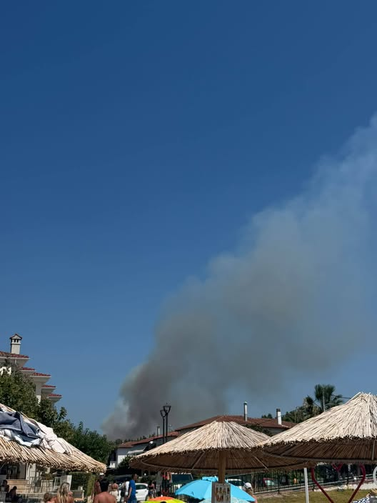 Πυρκαγιά σε χαμηλή βλάστηση στην Σίβηρη Χαλκιδικής Πυρκαγιά σε χαμηλή βλάστηση στην Σίβηρη Χαλκιδικής
