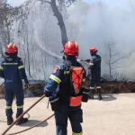 Πυρκαγιά σε δασική έκταση στην περιοχή Βερτίσκος Θεσσαλονίκης
