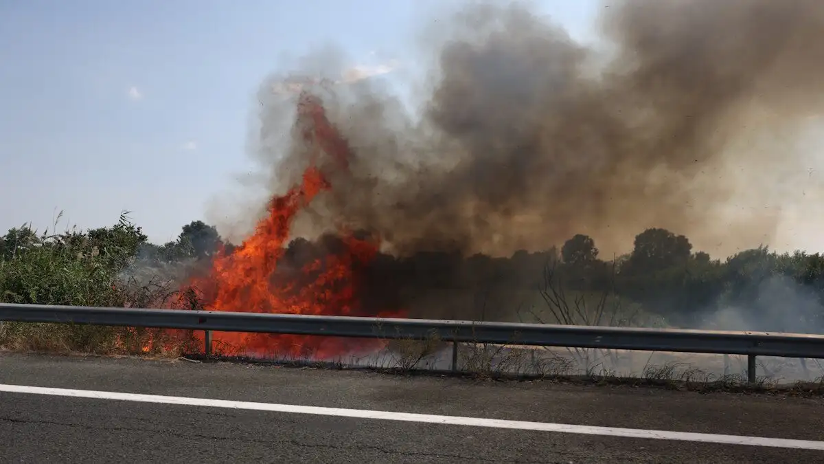 Πυρκαγιά σε χαμηλή βλάστηση στην Εγνατία Οδό στην Αλεξάνδρεια Ημαθίας – Επιχειρούν 20 πυροσβέστες και 1 ελικόπτερο