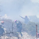 Πυρκαγιά σε δασική έκταση στο Καλόρρεμα Μετσόβου – Επιχειρούν 12 πυροσβέστες και 1 ελικόπτερο