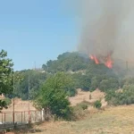 Πυρκαγιά σε δασική έκταση στην Ποταμούλα Αιτωλοακαρνανίας – Επιχειρούν 12 πυροσβέστες και 2 αεροσκάφη