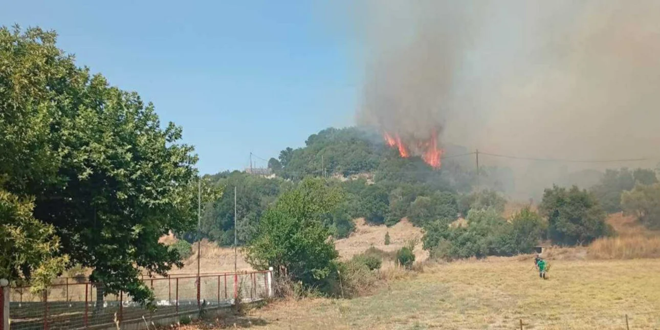 Πυρκαγιά σε δασική έκταση στην Ποταμούλα Αιτωλοακαρνανίας – Επιχειρούν 12 πυροσβέστες και 2 αεροσκάφη