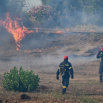 Πυρκαγιά σε χαμηλή βλάστηση στη Βρύση Παγγαίου Καβάλας – Επιχειρούν 34 πυροσβέστες και 4 εναέρια μέσα