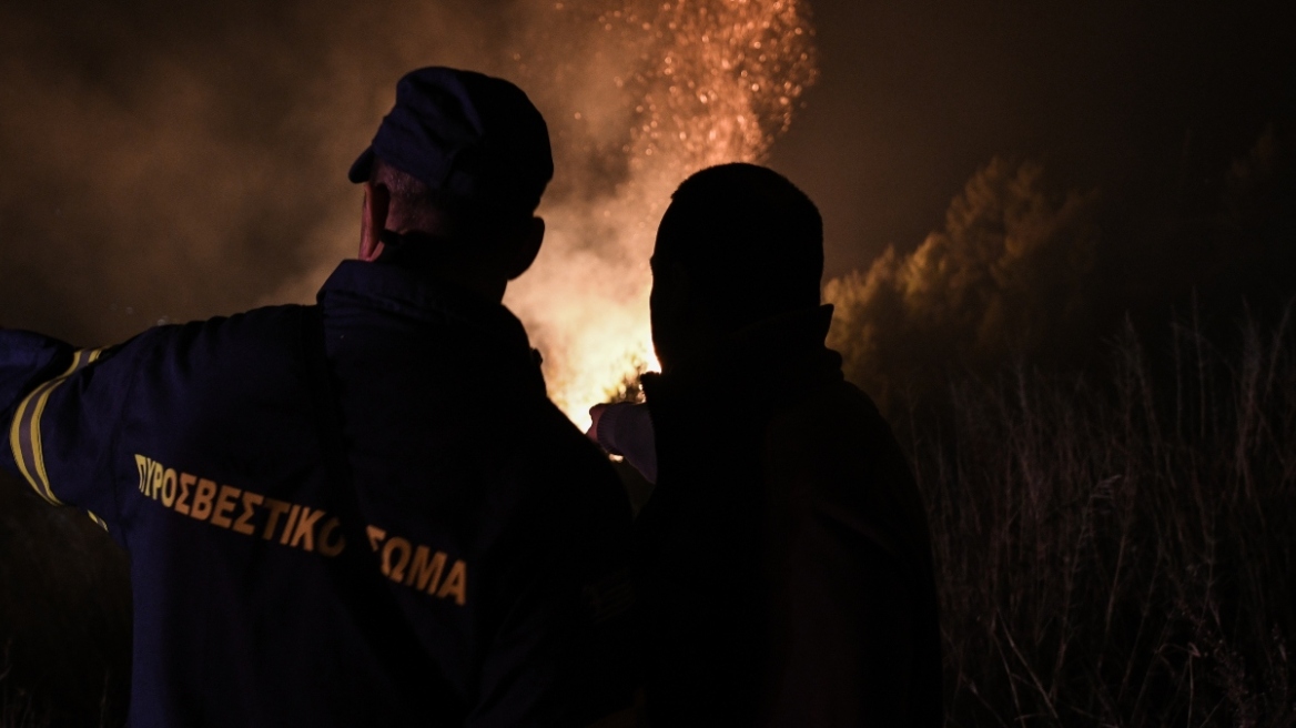 Πυρκαγιά σε δασική έκταση στην Πρώτη Αμφίπολης Σερρών – Επιχειρούν 30 πυροσβέστες