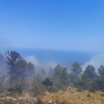 Χίος: Δύο χρόνια φυλάκιση χωρίς αναστολή στον 68χρονο για τη φωτιά στο Βίκι