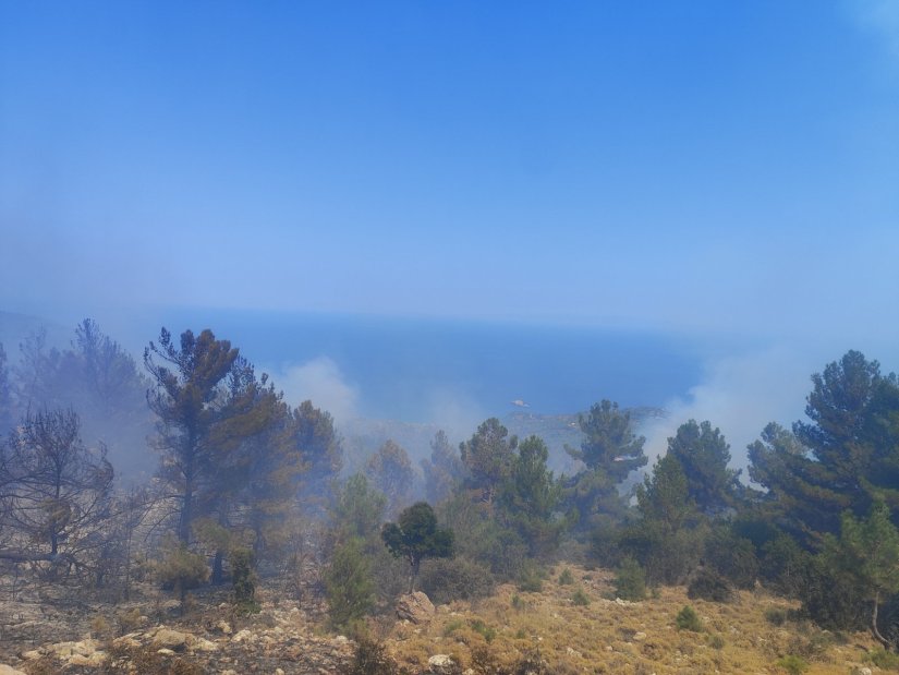 Χίος: Δύο χρόνια φυλάκιση χωρίς αναστολή στον 68χρονο για τη φωτιά στο Βίκι