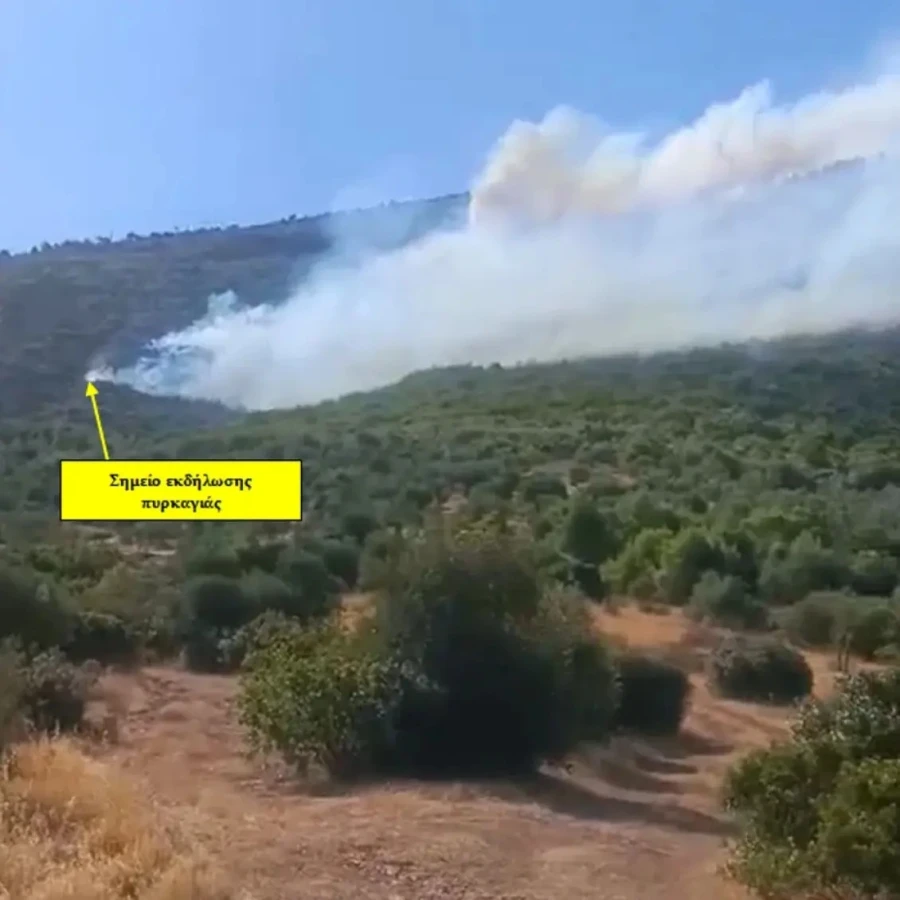 Προφυλακιστέοι ο δήμαρχος Στυλίδας και δύο ακόμη για τη μεγάλη πυρκαγιά σε Βοιωτία και Αττική