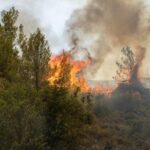 Πυρκαγιά σε αγροτοδασική έκταση στο Μεσοχώρι Μεσσηνίας – Επιχειρούν 48 πυροσβέστες και 5 εναέρια μέσα