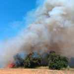 Πυρκαγιά στα Κοττέικα Ηλείας – Επιχειρούν 30 πυροσβέστες και 7 εναέρια μέσα