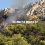 Πυρκαγιά σε δασική έκταση στον Προφήτη Ηλία Σαλαμίνας – Επιχειρούν 28 πυροσβέστες και 2 ελικόπτερα