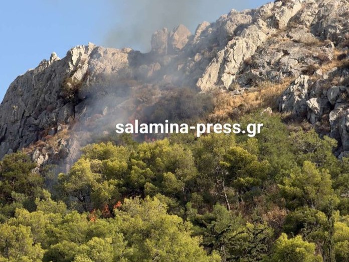 Πυρκαγιά σε δασική έκταση στον Προφήτη Ηλία Σαλαμίνας – Επιχειρούν 28 πυροσβέστες και 2 ελικόπτερα