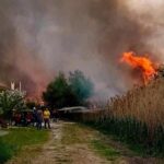 Πυρκαγιά σε χαμηλή βλάστηση στο Βαρθολομιό Ηλείας – Επιχειρούν 32 πυροσβέστες και 4 εναέρια μέσα