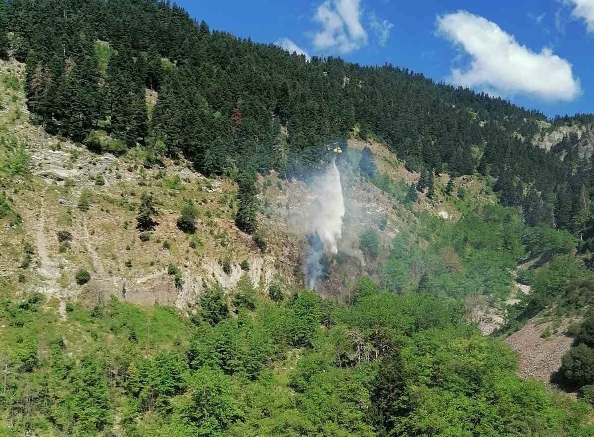 Πυρκαγιά σε δασική έκταση στα Άγραφα Ευρυτανίας