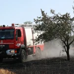 Πυρκαγιά σε δασική έκταση στο Γενέσιο Τρικάλων – Επιχειρούν 28 πυροσβέστες