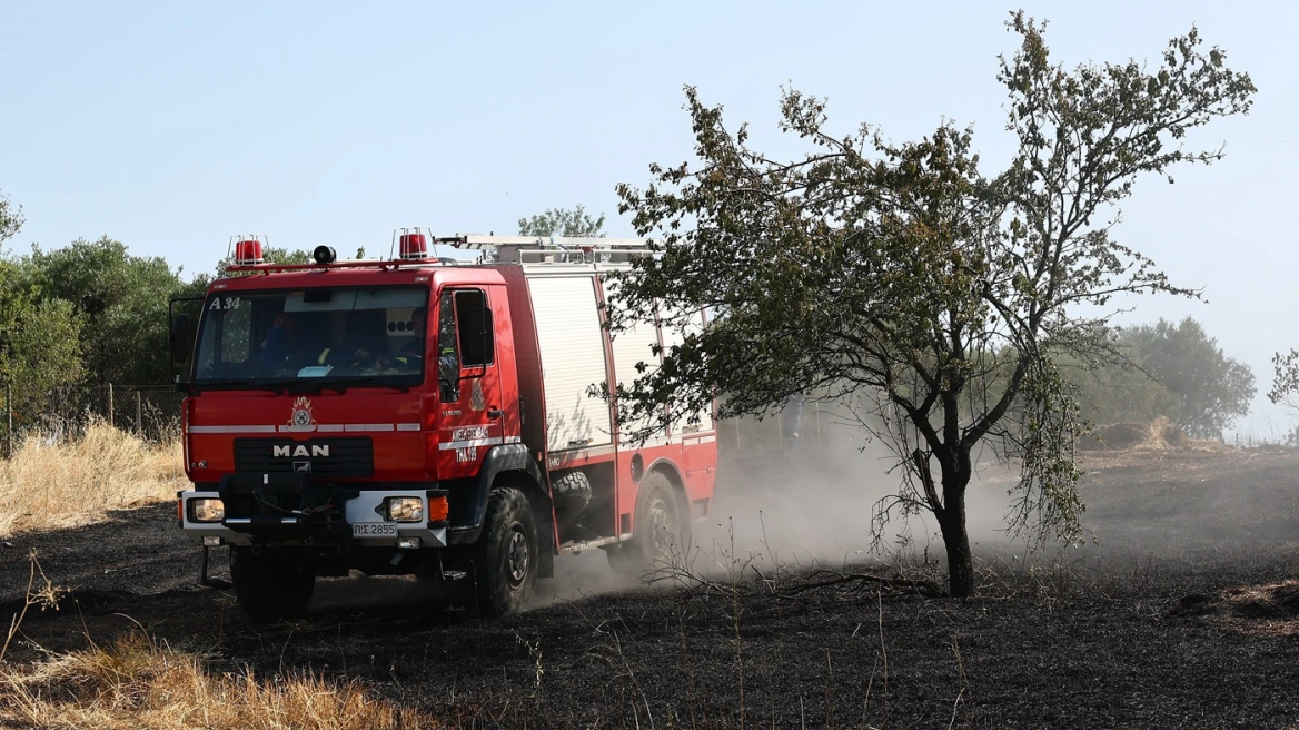 Πυρκαγιά σε δασική έκταση στο Γενέσιο Τρικάλων – Επιχειρούν 28 πυροσβέστες