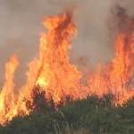 Πυρκαγιά σε αγροτική έκταση στη Λεύκα Μεσολογγίου – Επιχειρούν 20 πυροσβέστες και 2 αεροσκάφη