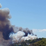 Πυρκαγιά σε δασική έκταση στην περιοχή Περιστέρια Σαλαμίνας