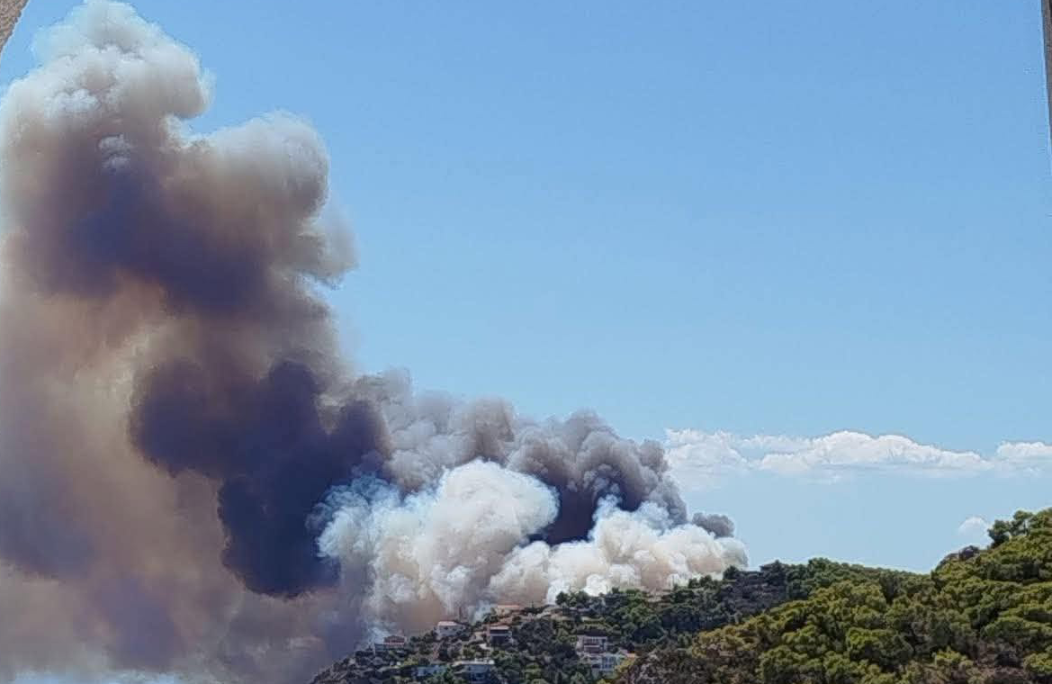 Πυρκαγιά σε δασική έκταση στην περιοχή Περιστέρια Σαλαμίνας