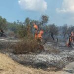 Πυρκαγιά σε αγροτοδασική έκταση στο Τεμπλόνι Κέρκυρας – Επιχειρούν 20 πυροσβέστες και 7 εναέρια μέσα