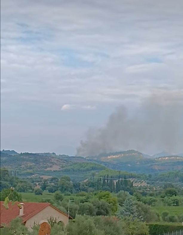Πυρκαγιά σε αγροτοδασική έκταση στην περιοχή Μουζάκι Ηλείας Πυρκαγιά σε αγροτοδασική έκταση στην περιοχή Μουζάκι Ηλείας