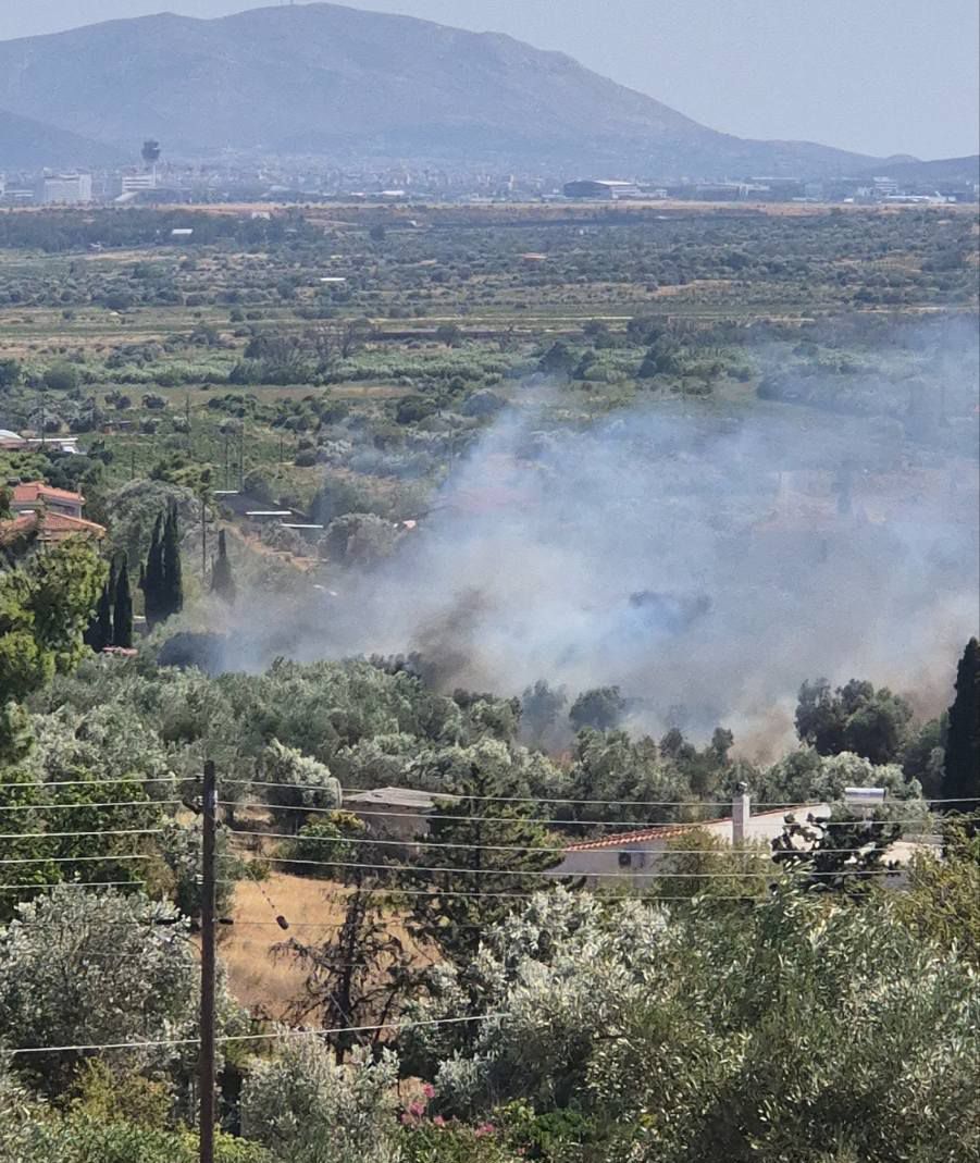 Πυρκαγιά σε χαμηλή βλάστηση στην περιοχή Ήμερος Πεύκος στα Σπάτα Πυρκαγιά σε χαμηλή βλάστηση στην περιοχή Ήμερος Πεύκος στα Σπάτα