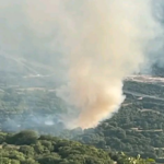 Πυρκαγιά σε δασική έκταση στην περιοχή Αγία Τριάδα Ιωαννίνων