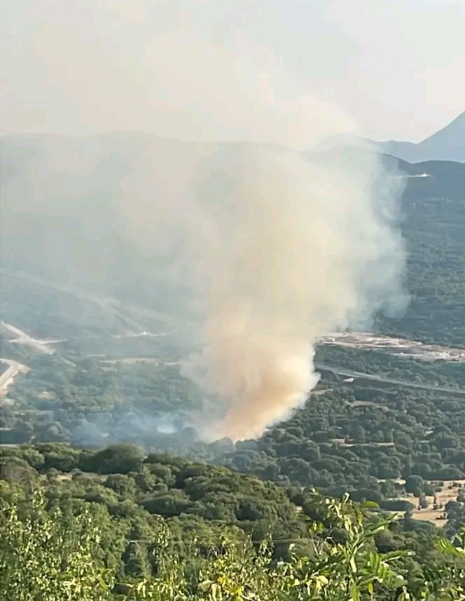Πυρκαγιά σε δασική έκταση στην περιοχή Αγία Τριάδα Ιωαννίνων Πυρκαγιά σε δασική έκταση στην περιοχή Αγία Τριάδα Ιωαννίνων