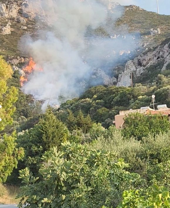Πυρκαγιά σε αγροτοδασική έκταση στο Πυλί της Κω