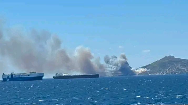 Πυρκαγιά σε δασική έκταση στην περιοχή Περιστέρια Σαλαμίνας Πυρκαγιά σε δασική έκταση στην περιοχή Περιστέρια Σαλαμίνας
