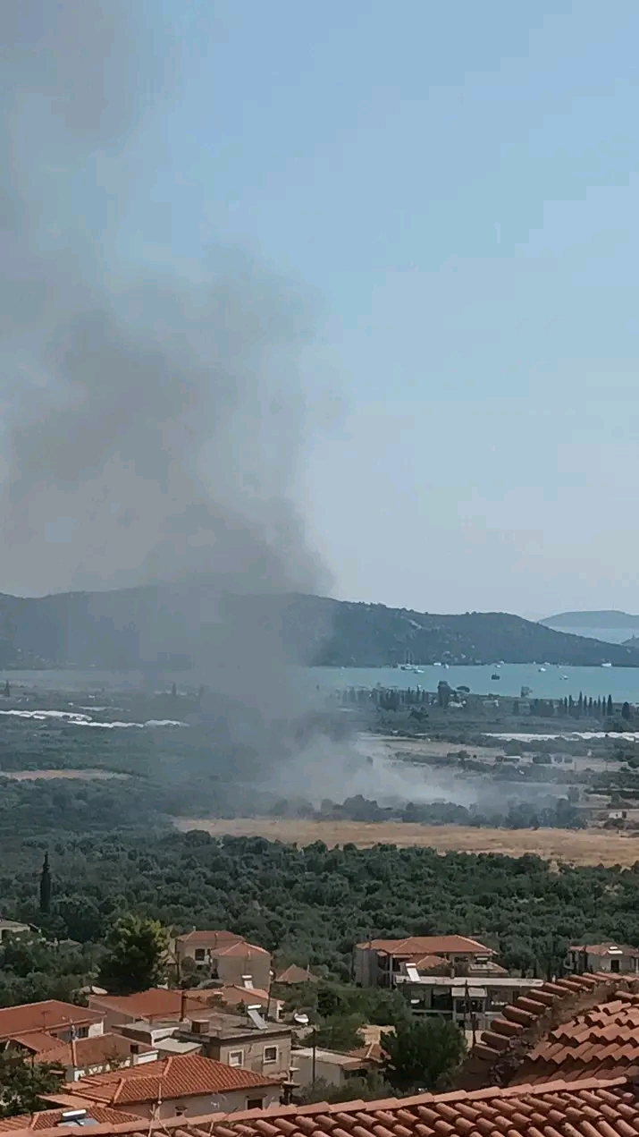 Πυρκαγιά σε γεωργική έκταση στην Τροιζήνα – Επιχειρούν 10 πυροσβέστες