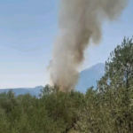 Πυρκαγιά σε αγροτοδασική έκταση στην Ελάτεια Φθιώτιδας – Επιχειρούν 35 πυροσβέστες και 6 εναέρια μέσα