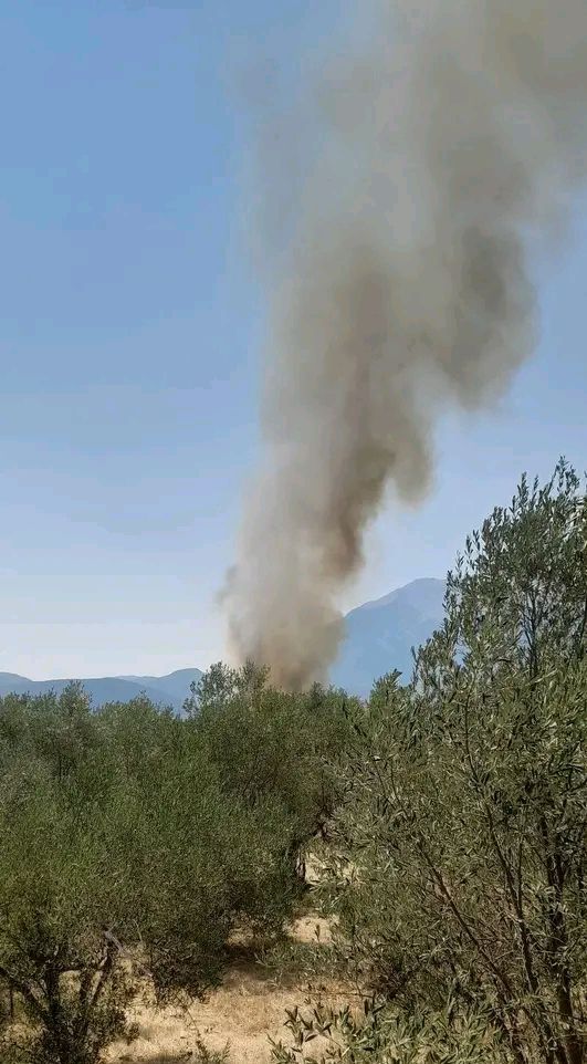 Πυρκαγιά σε αγροτοδασική έκταση στην Ελάτεια Φθιώτιδας – Επιχειρούν 35 πυροσβέστες και 6 εναέρια μέσα Πυρκαγιά σε αγροτοδασική έκταση στην Ελάτεια Φθιώτιδας – Επιχειρούν 35 πυροσβέστες και 6 εναέρια μέσα