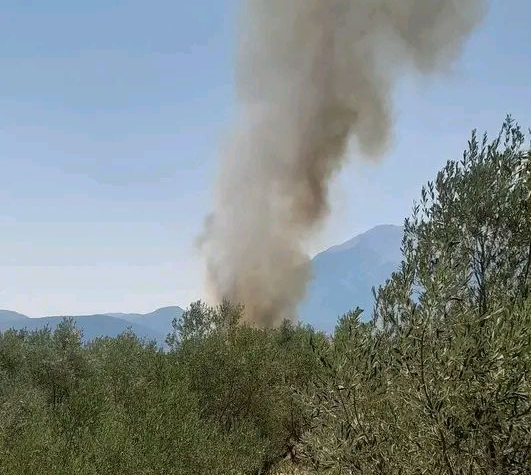 Πυρκαγιά σε αγροτοδασική έκταση στην Ελάτεια Φθιώτιδας – Επιχειρούν 35 πυροσβέστες και 6 εναέρια μέσα