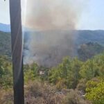 Πυρκαγιά σε δασική έκταση στο Μαρκόπουλο Ωρωπού – Επιχειρούν 24 πυροσβέστες και 4 εναέρια μέσα