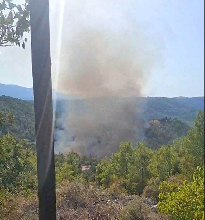 Πυρκαγιά σε δασική έκταση στο Μαρκόπουλο Ωρωπού – Επιχειρούν 24 πυροσβέστες και 4 εναέρια μέσα