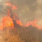 Πυρκαγιά σε γεωργική έκταση στην περιοχή Αγία Μαρίνα Ηλείας