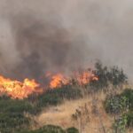 Πυρκαγιά σε χαμηλή βλάστηση επί της οδού Αλέκου Παναγούλη στη Νέα Πεντέλη