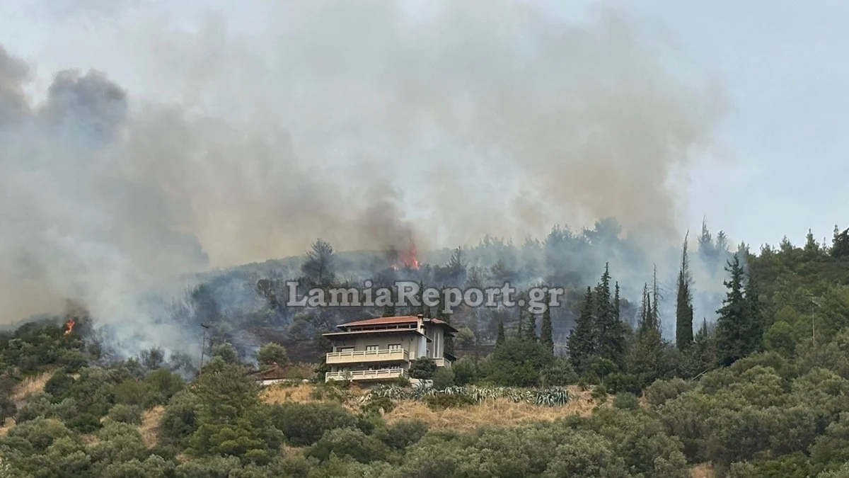 Πυρκαγιά σε αγροτοδασική έκταση στην Πελασγία Φθιώτιδας – Επιχειρούν 35 πυροσβέστες και 5 εναέρια μέσα