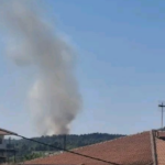 Πυρκαγιά σε δασική έκταση στην Ελάνη Κασσάνδρας Χαλκιδικής – Επιχειρούν 38 πυροσβέστες και 7 εναέρια μέσα
