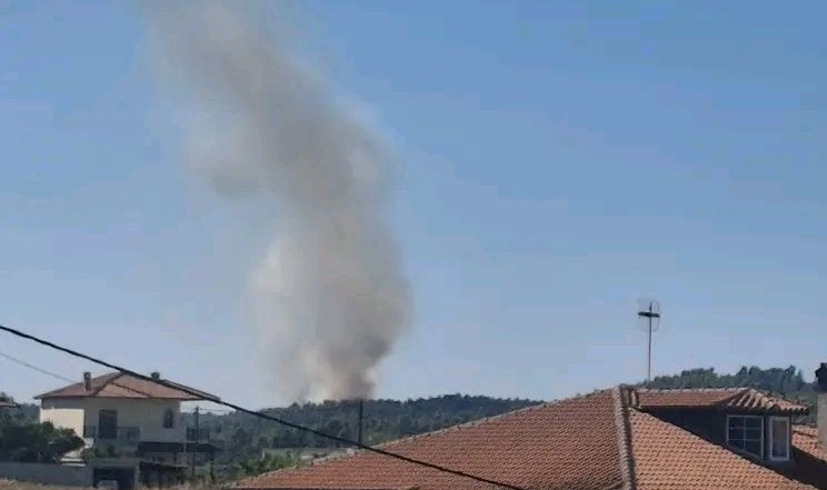 Πυρκαγιά σε δασική έκταση στην Ελάνη Κασσάνδρας Χαλκιδικής – Επιχειρούν 38 πυροσβέστες και 7 εναέρια μέσα